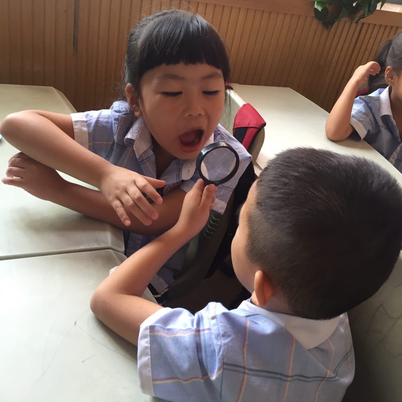 “Who we are ”之“The teeth, click, click, click” ---“我们是谁”之“牙齿咔咔咔” （愉小学前国际部）探究历程侧影